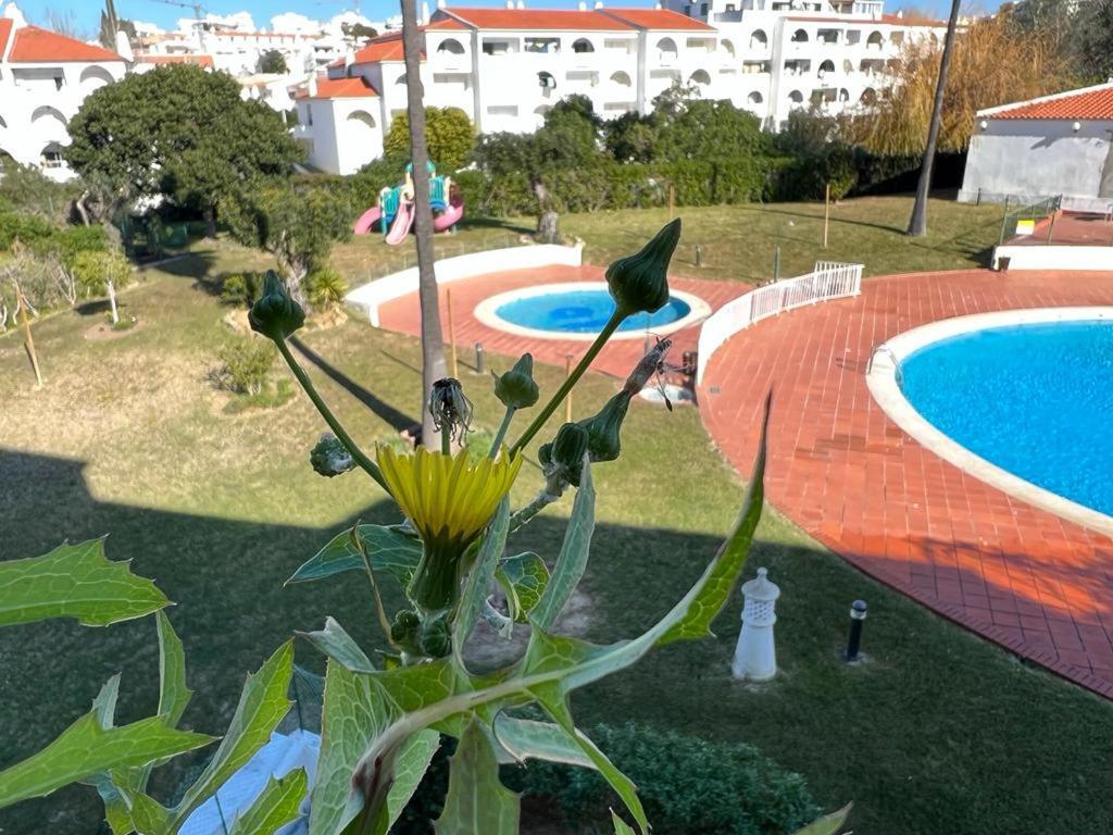 Painel De Albufeira Apartment Bagian luar foto